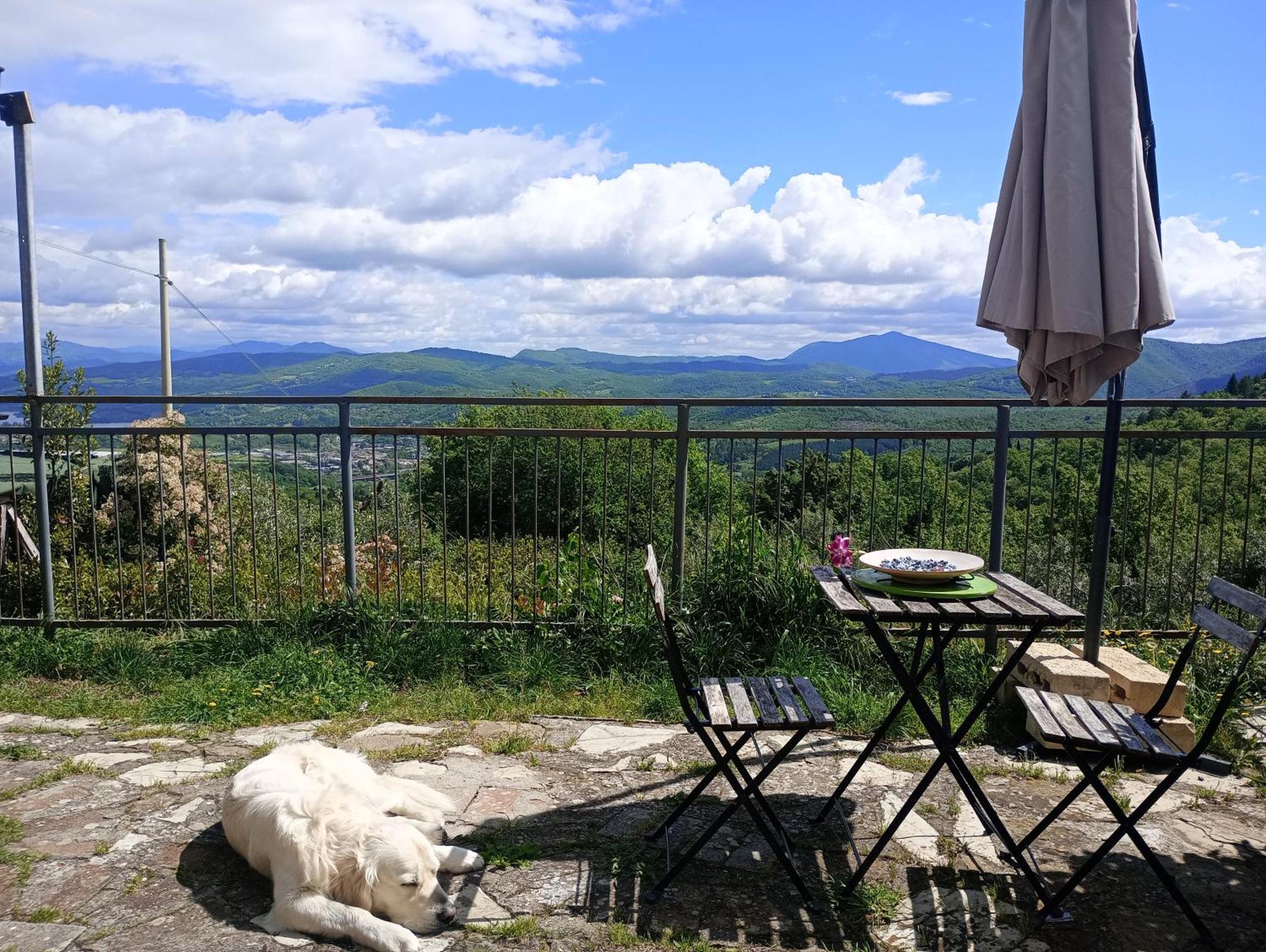 Il Podere Di Massi Barberino di Mugello Quarto foto